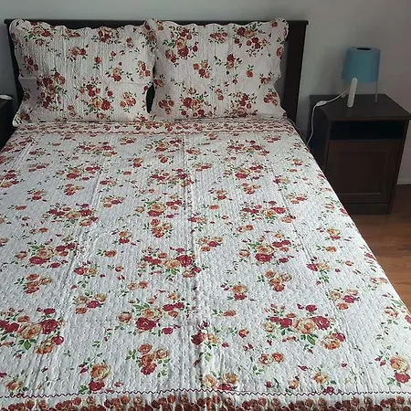 塞纳里奥卡迪塔旅舍