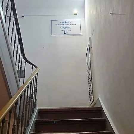 Hostel Cenario Catita *