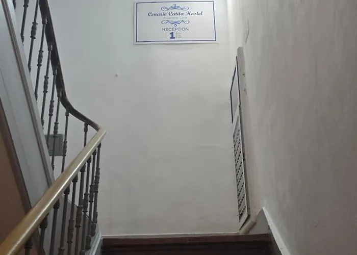 Cenário Catita Hostal Lisboa